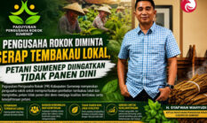 Pengusaha Rokok Diminta Serap Tembakau Lokal, Petani Sumenep Diingatkan Tidak Panen Dini