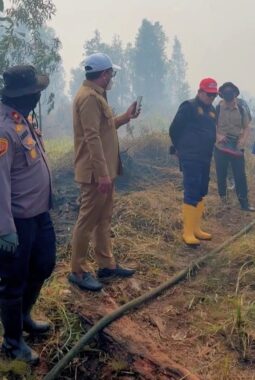 Bupati Zukri Turun Langsung Tangani Karhutla di Rantau Baru, Hampir 50 Hektare Lahan Gambut Terbakar
